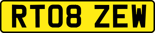 RT08ZEW