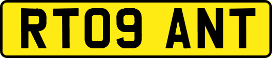 RT09ANT