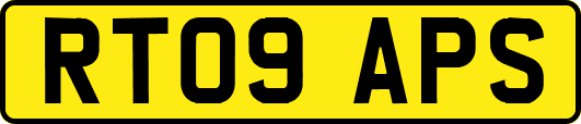 RT09APS