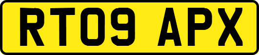 RT09APX