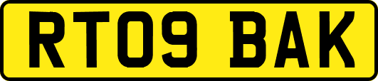 RT09BAK