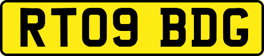 RT09BDG