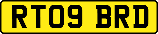 RT09BRD