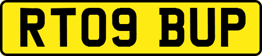 RT09BUP