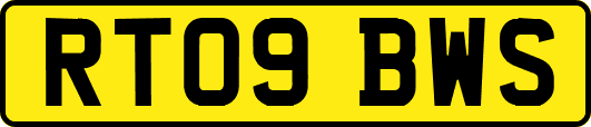 RT09BWS