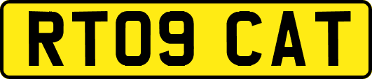 RT09CAT