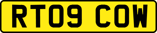 RT09COW