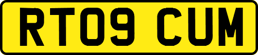 RT09CUM