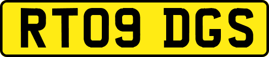 RT09DGS