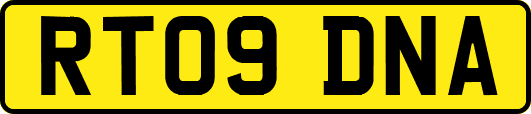 RT09DNA