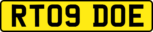 RT09DOE