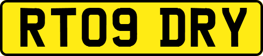 RT09DRY
