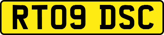 RT09DSC