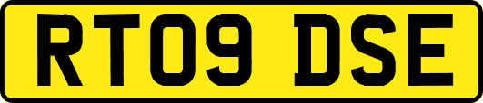RT09DSE