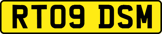 RT09DSM