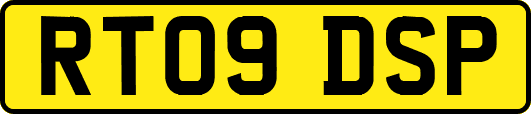 RT09DSP