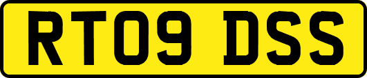 RT09DSS