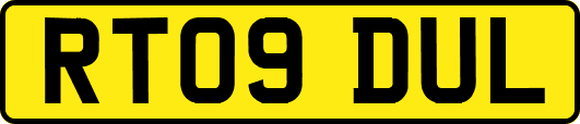 RT09DUL