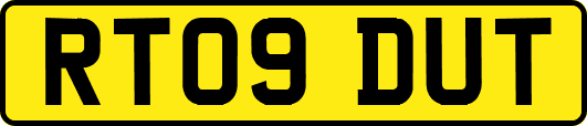 RT09DUT