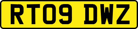 RT09DWZ