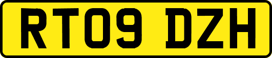 RT09DZH