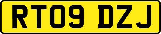 RT09DZJ