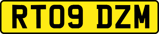 RT09DZM