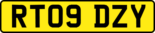 RT09DZY