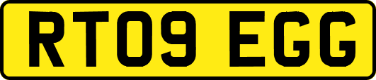 RT09EGG
