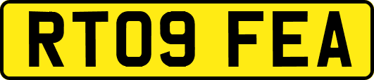 RT09FEA