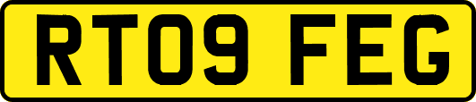 RT09FEG