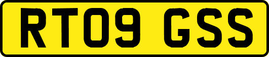RT09GSS