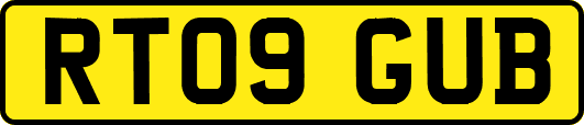 RT09GUB