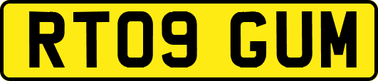 RT09GUM