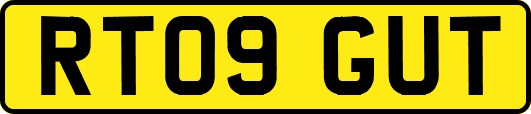 RT09GUT
