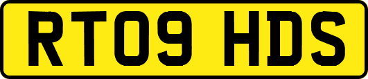 RT09HDS