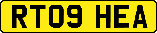 RT09HEA