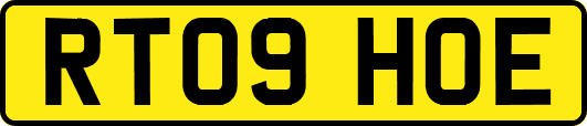 RT09HOE