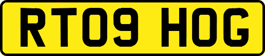 RT09HOG