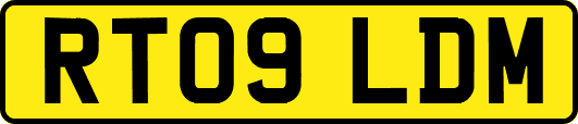 RT09LDM
