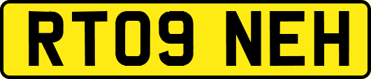 RT09NEH