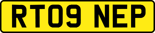 RT09NEP