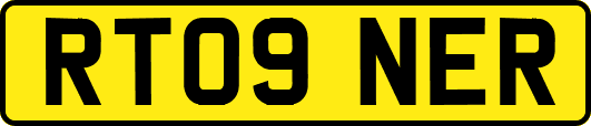 RT09NER