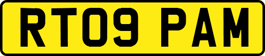 RT09PAM