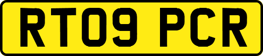 RT09PCR