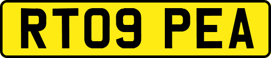 RT09PEA