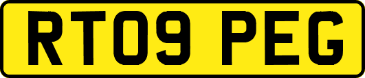 RT09PEG