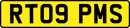 RT09PMS