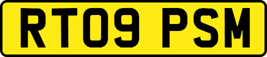 RT09PSM