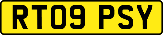 RT09PSY